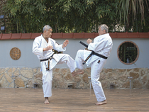 Уэчи-рю Каратэ-до (Uechi-ryu Karate-do)